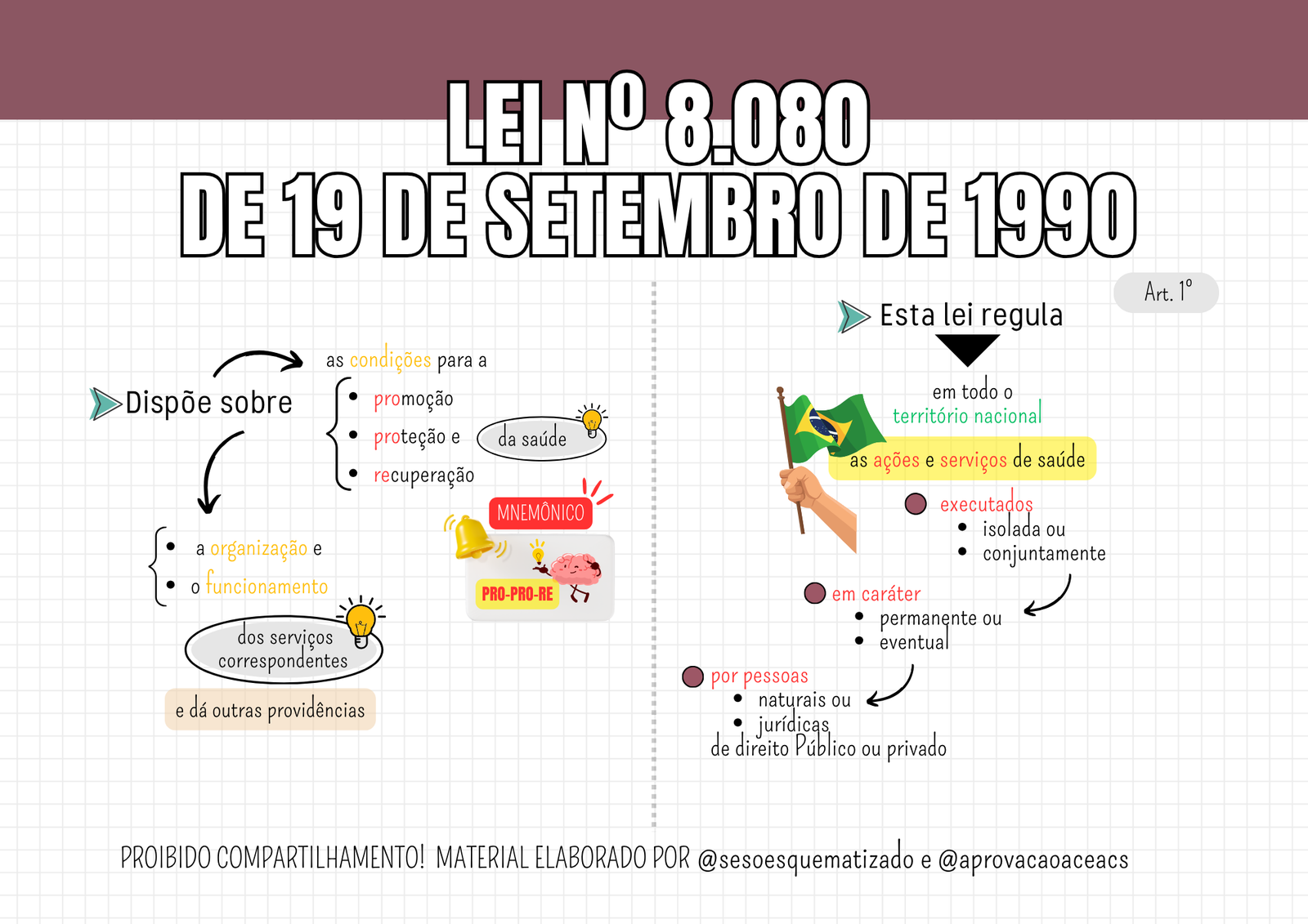 Lei 8.08090 esquematizada